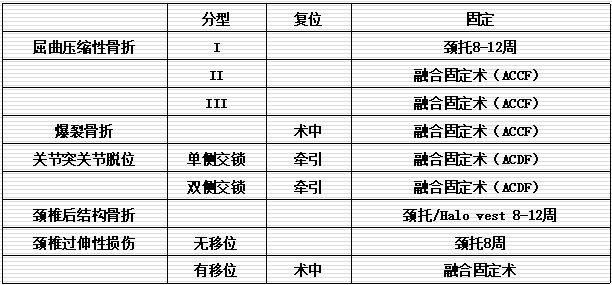 脊柱骨折的分型、诊断与治疗