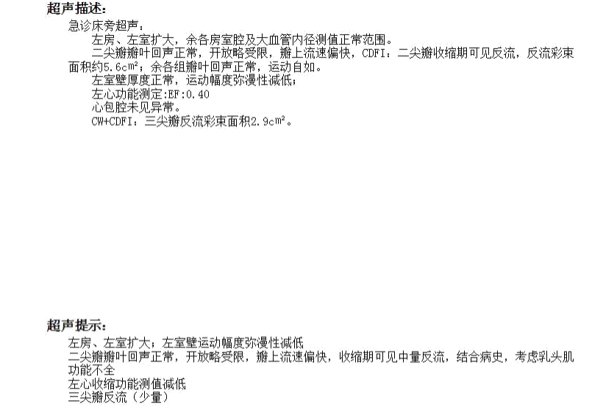 重症心衰诊治典范：一例患者的成功救治之路及经验启示