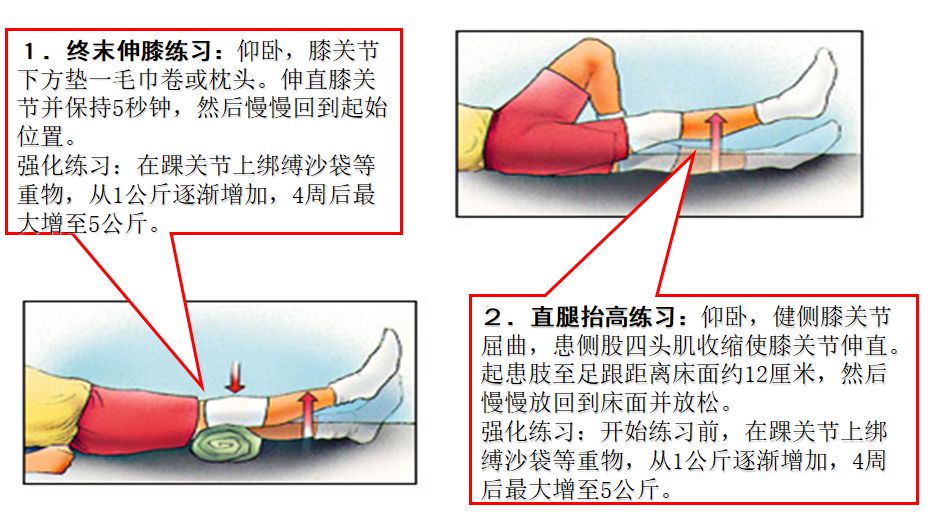 诊疗理念
