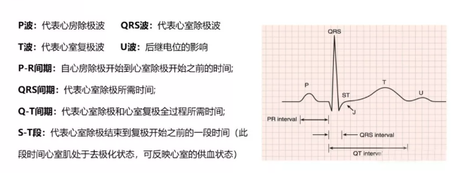 【急救】除颤仪该如何正确使用