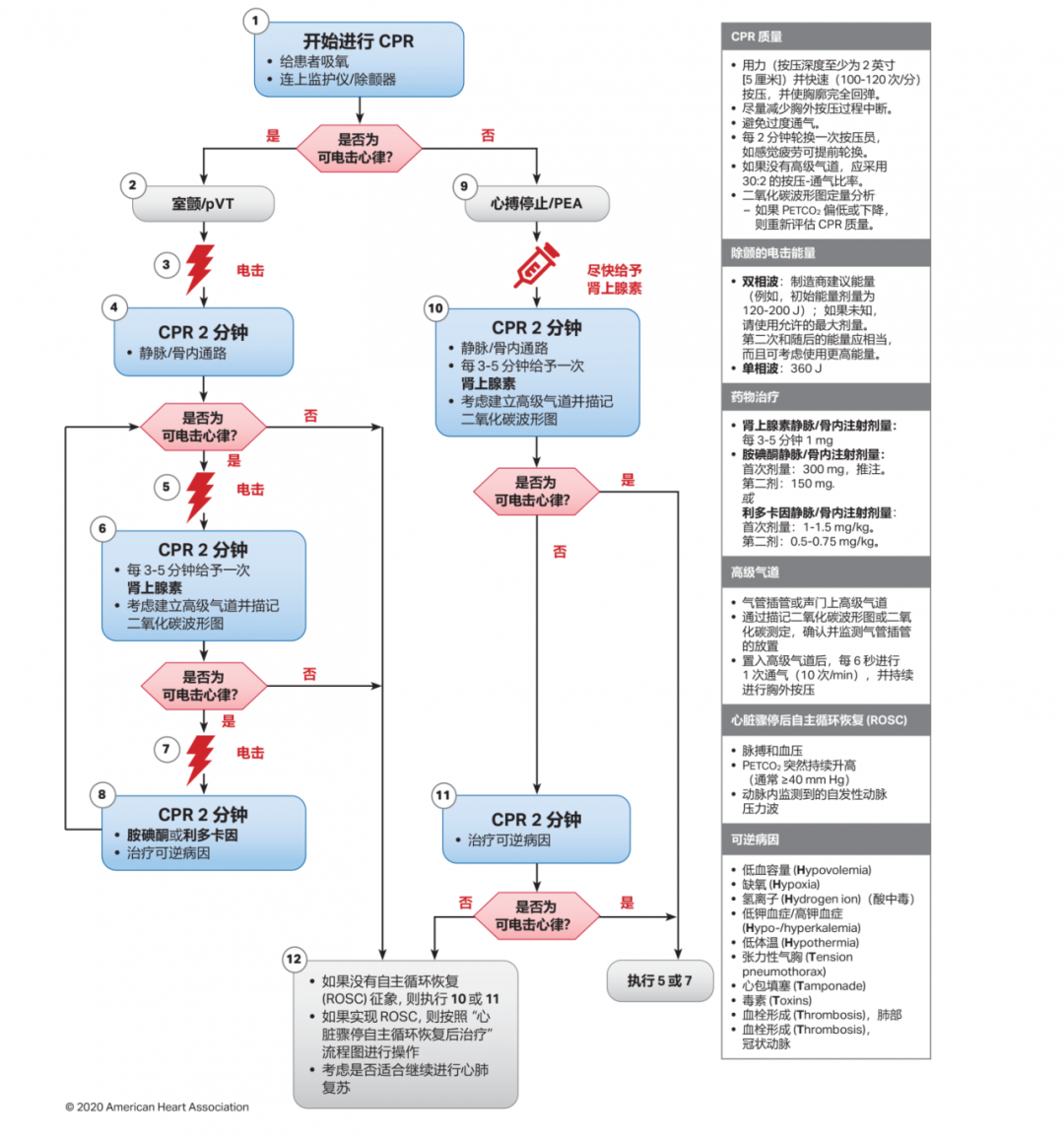 【急救】除颤仪该如何正确使用