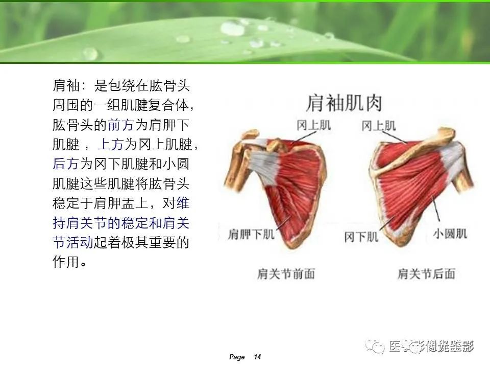 肩关节MRI解剖肩袖损伤诊断技巧--对应动图,效果超赞