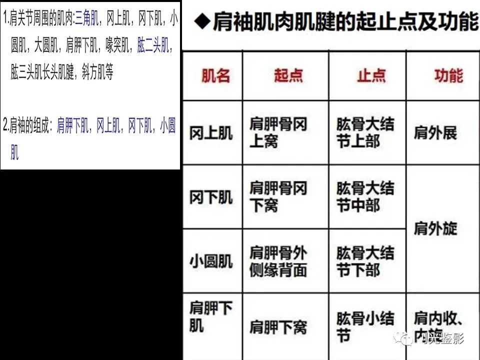 肩关节MRI解剖肩袖损伤诊断技巧--对应动图,效果超赞