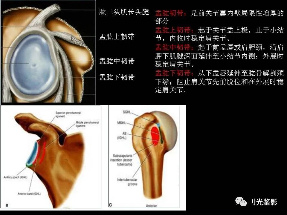 肩关节MRI解剖肩袖损伤诊断技巧--对应动图,效果超赞