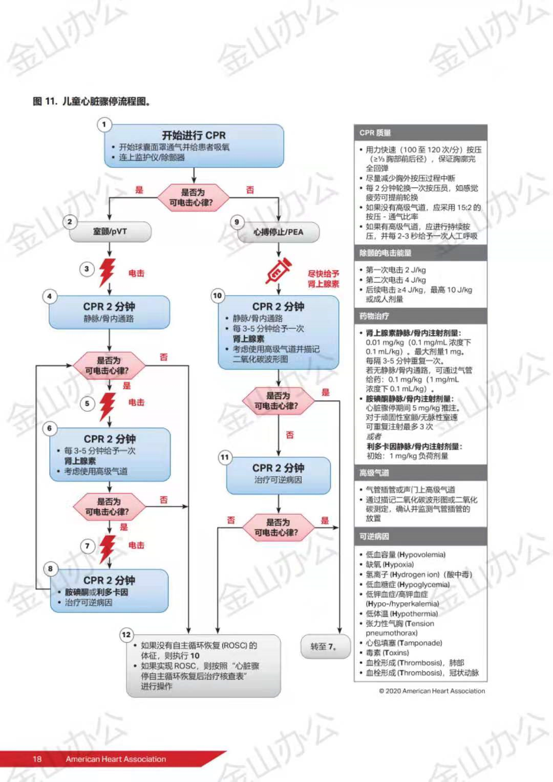 关于心肺复苏发展及心肺复苏核心内容知识点