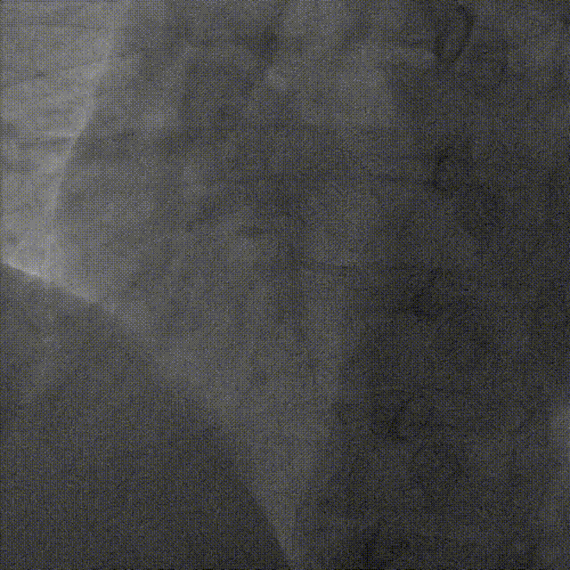 1  7月31日 00_00_00-00_00_30.gif