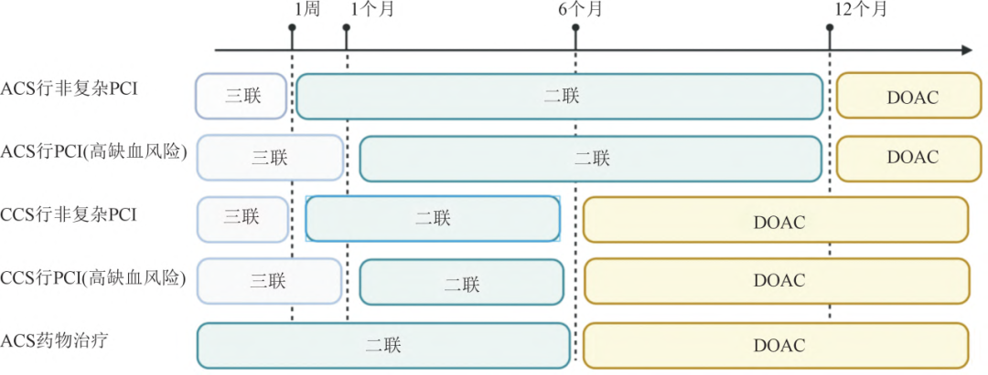 中国心房颤动管理:2025最新指南推荐,速览!