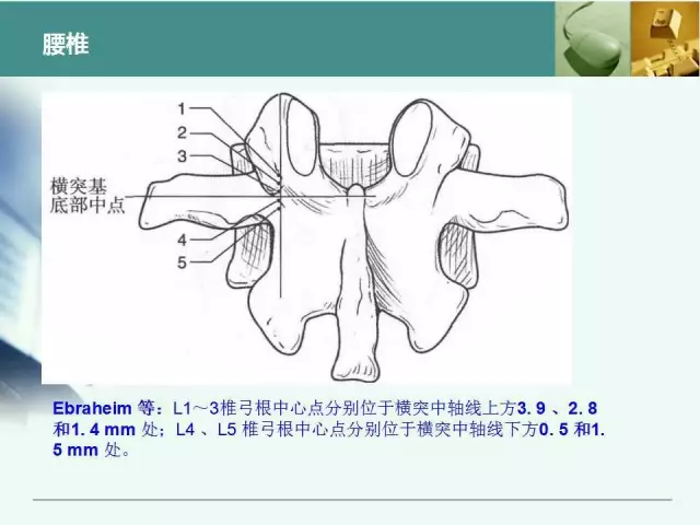 胸腰椎椎弓根置钉技术，很全很实用！