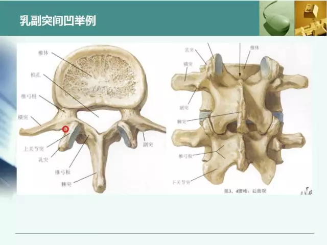 胸腰椎椎弓根置钉技术，很全很实用！