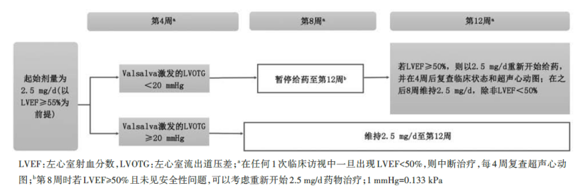 梗阻性肥厚型心肌病患者如何正确使用玛伐凯泰?专家建议来了!