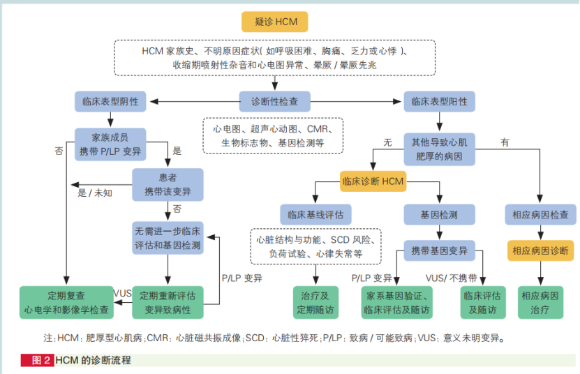心肌病防治步入精准化、规范化、全程化管理,中国首部心肌病综合管理指南发布