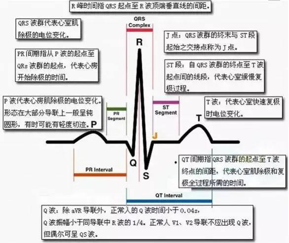 常见心律失常的急诊处理(心血管医生值班必备)