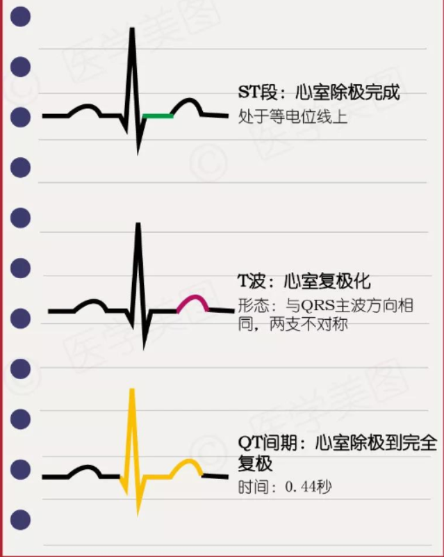 常见心律失常的急诊处理(心血管医生值班必备)