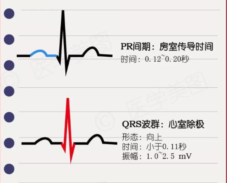 常见心律失常的急诊处理(心血管医生值班必备)