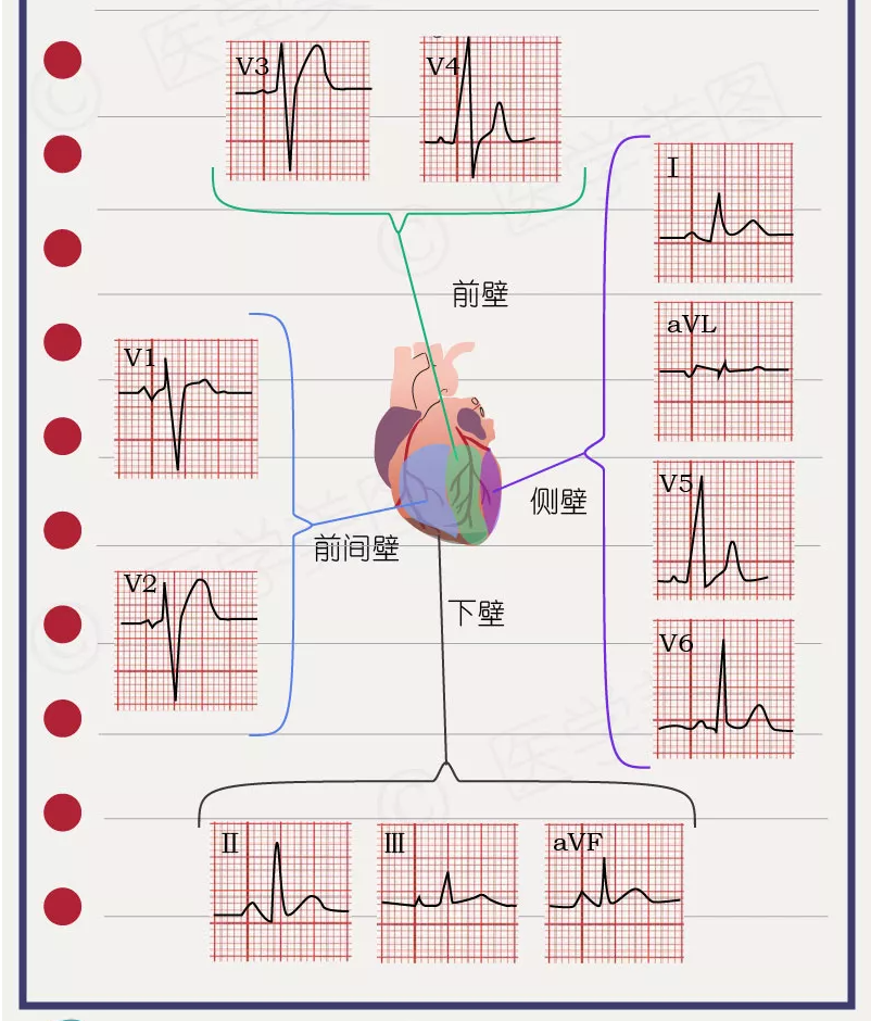 心律失常——房颤患者的紧急处置