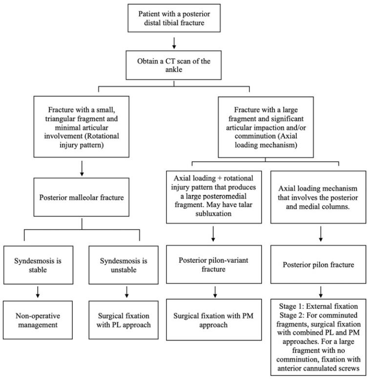 JBJS:后踝骨折、后Pilon骨折及后Pilon变异型骨折的定义与治疗