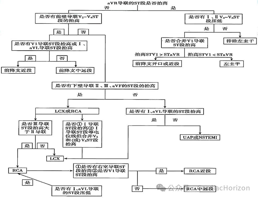 如何快速定位急性心肌梗死罪犯血管,这篇文章教会你
