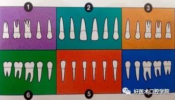 牙周刮治技术,从检查到操作方法,全套要点总结!