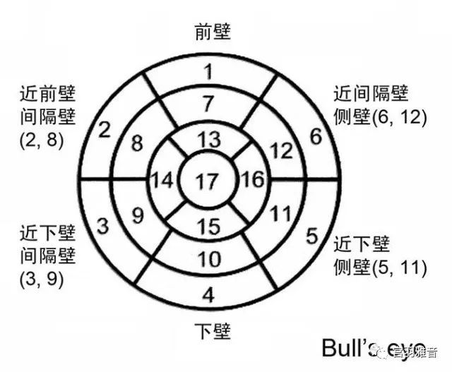 12导、15导、18导连接示意图及心脏各壁超声解剖位置与心电图导联对应关系