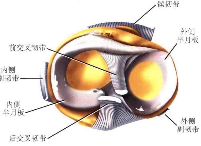 【一文综述】了解胫骨平台骨折的复位标准