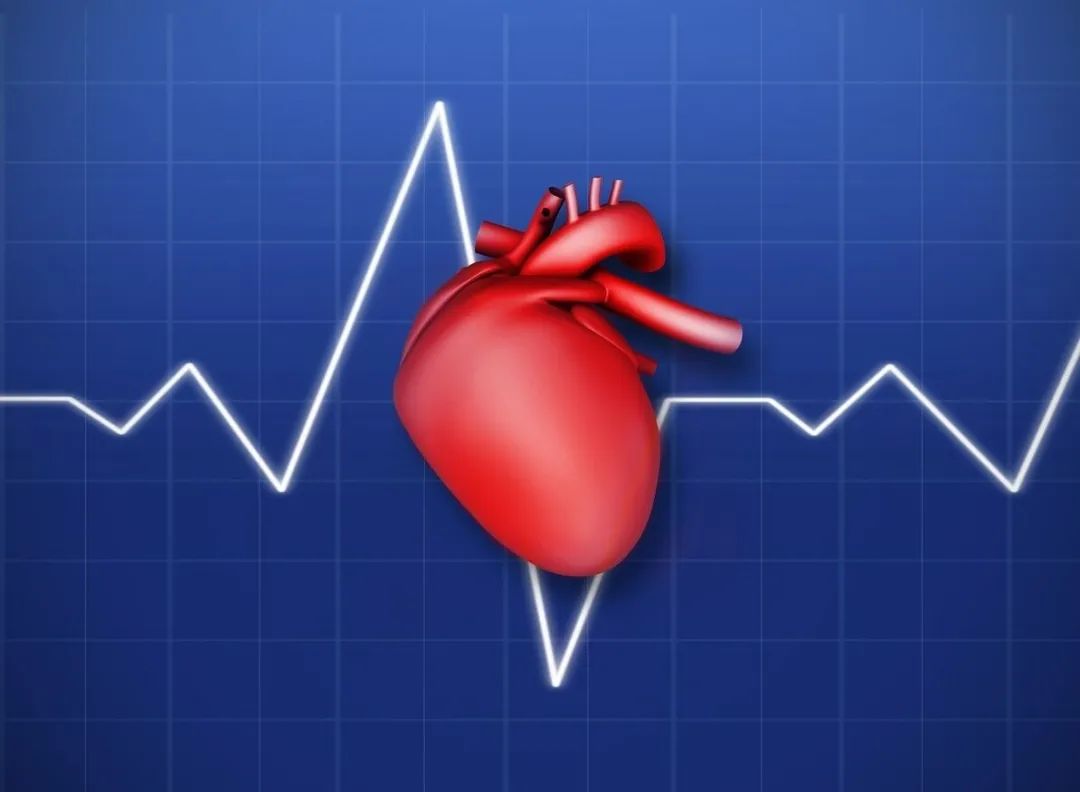 洛尔类药物的作用,是降压还是治疗心脏病?两者可以兼得