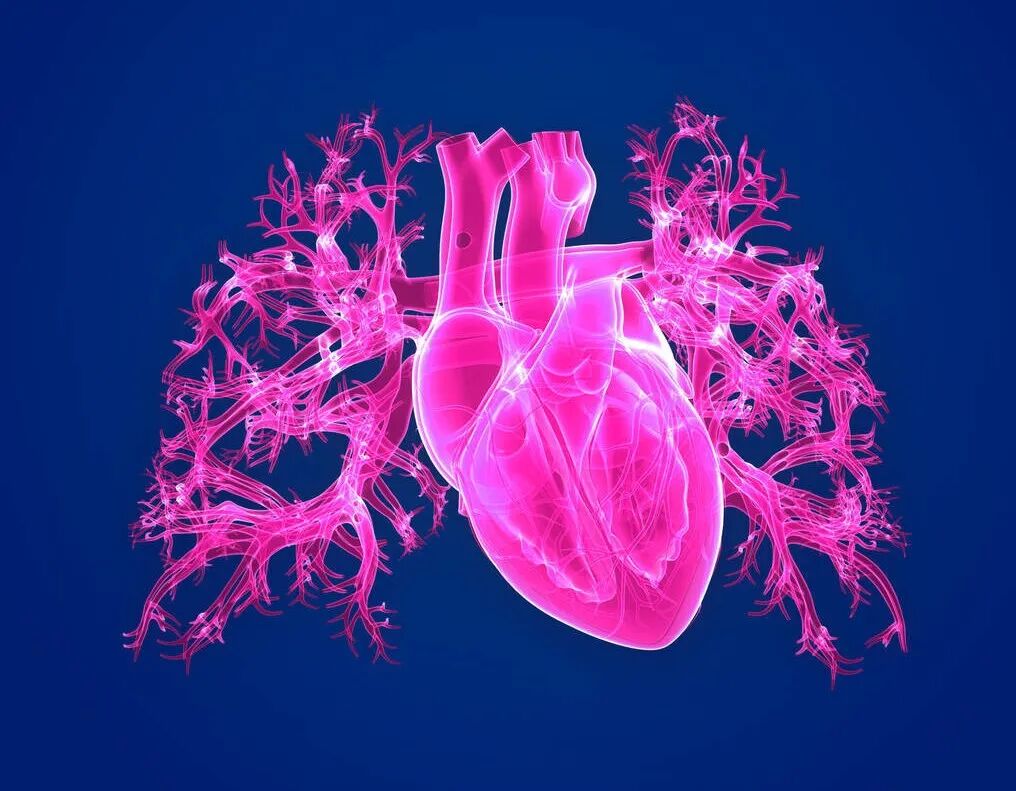 洛尔类药物的作用,是降压还是治疗心脏病?两者可以兼得