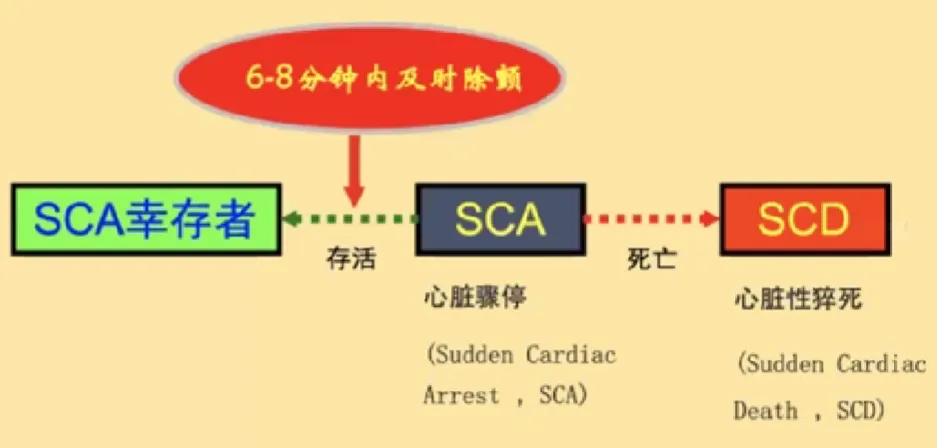 心律解码丨心源性猝死及心脏急救