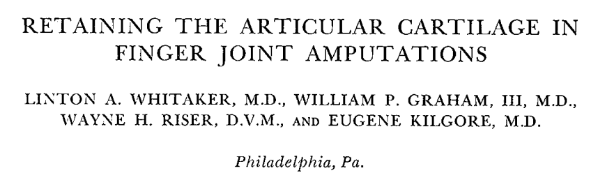 经关节截指——是否保留软骨?