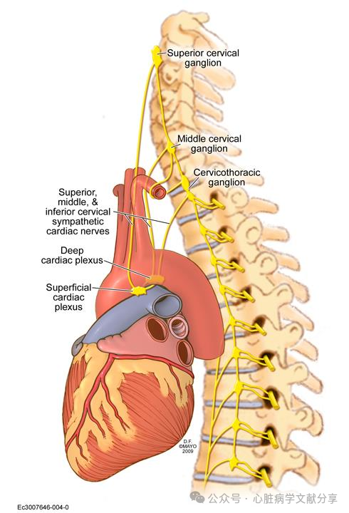 电风暴的机制与治疗