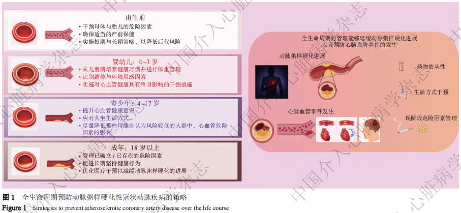 冠心病防治新策略:从关注缺血到关注动脉粥样硬化