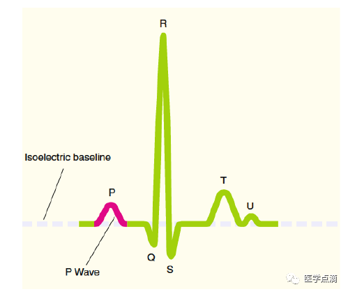 教你用最简单方法学习心电图！
