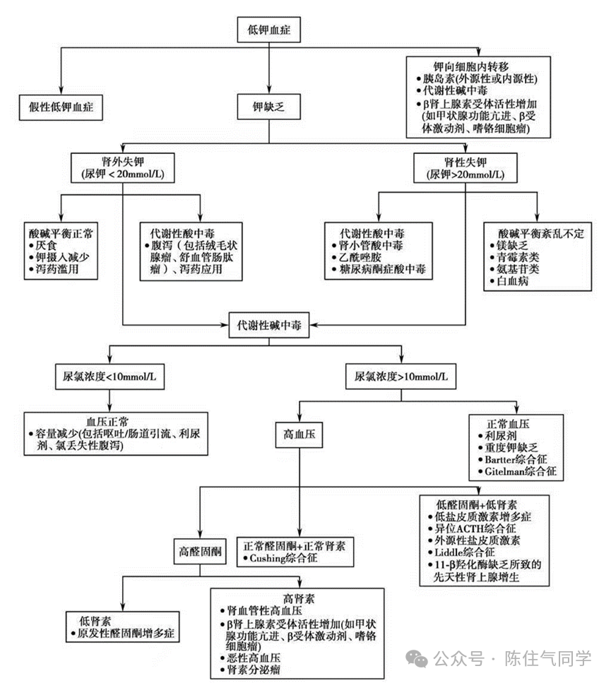 一文详解:低钾血症诊疗思路(附补钾公式)