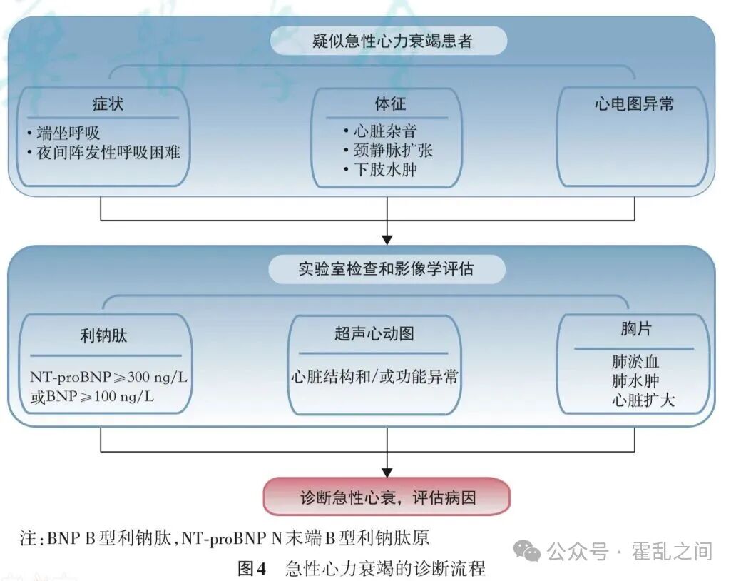 急性心衰的临床表现、鉴别诊断、临床分型及治疗