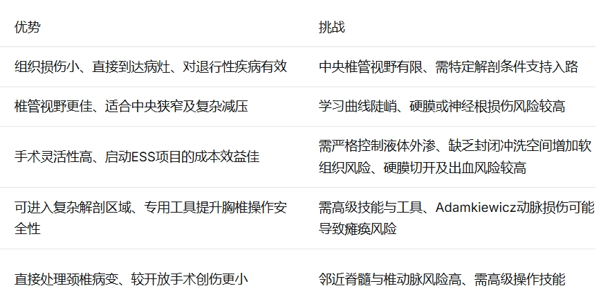 脊柱内镜手术的发展现状