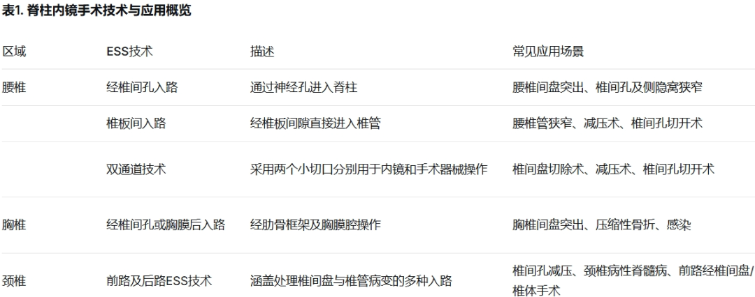 脊柱内镜手术的发展现状