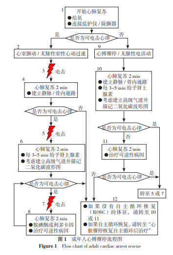 给心跳骤停患者静推阿托品
