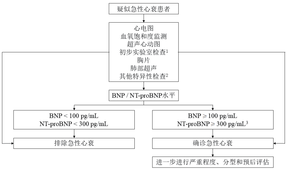 早读