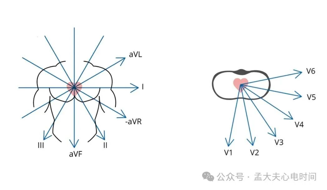 透过心脏传导系统秒懂心电图