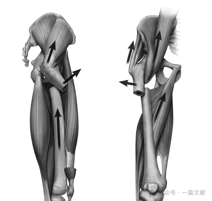 股骨转子下骨折术中透视技巧