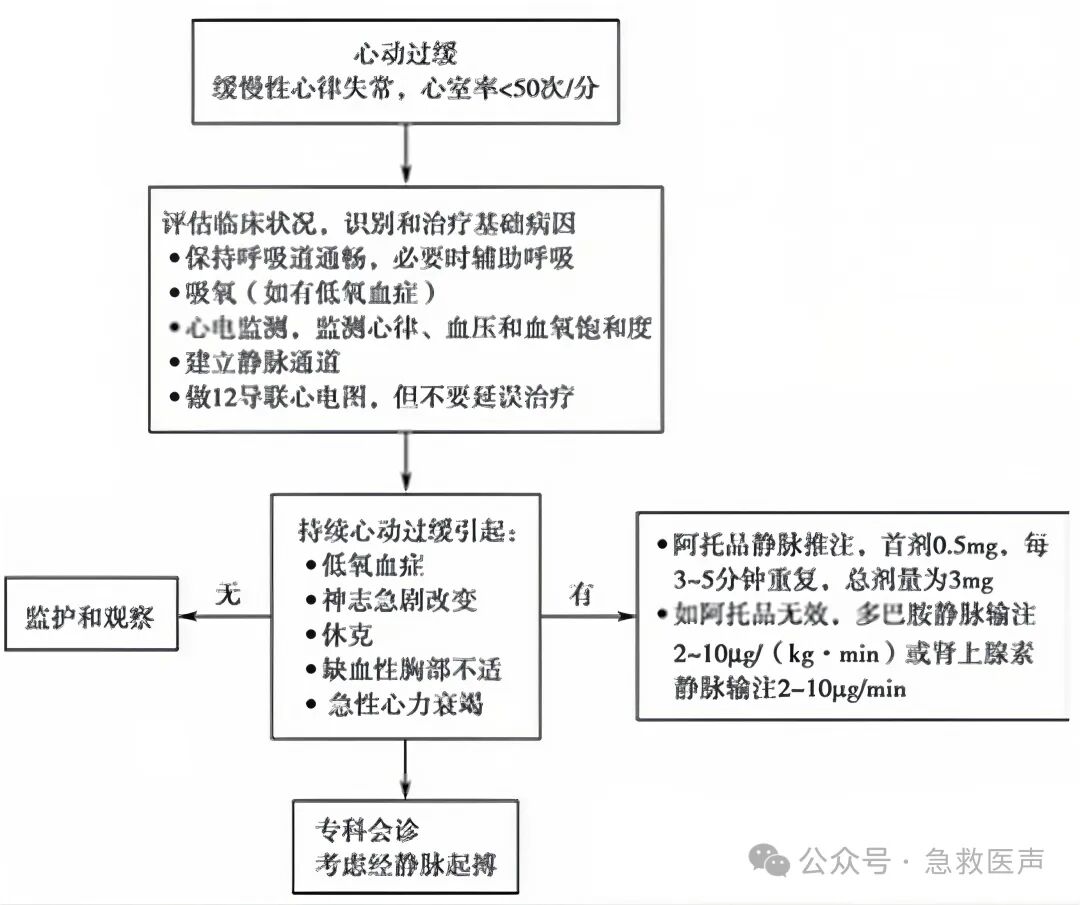 危及生命的严重心律失常的诊断和急救处理