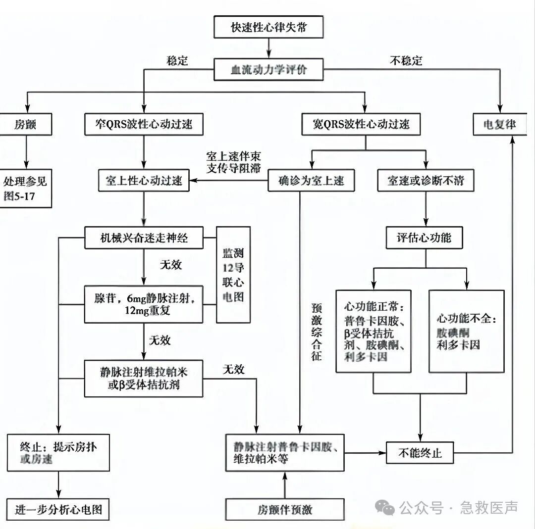 危及生命的严重心律失常的诊断和急救处理