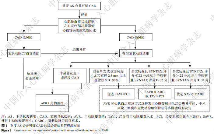 【专家共识】主动脉瓣狭窄合并冠状动脉疾病的评估和管理中国专家共识2025