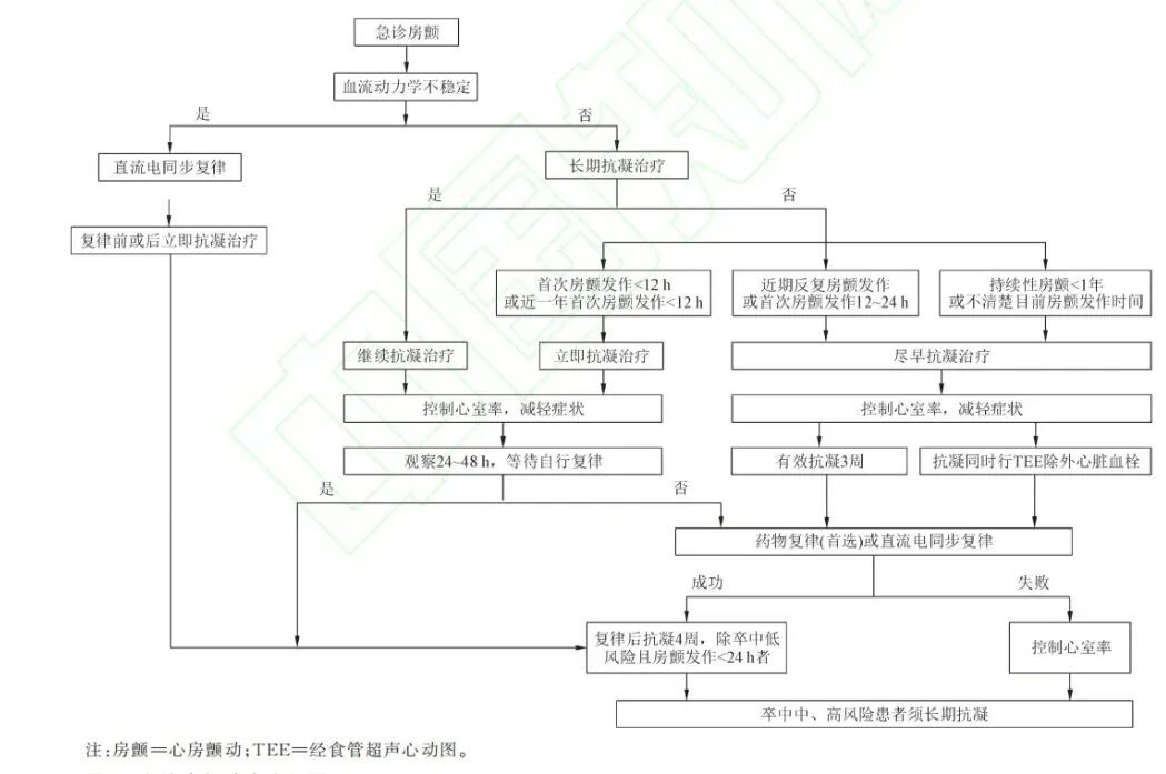 急性(急诊)房颤的处理策略