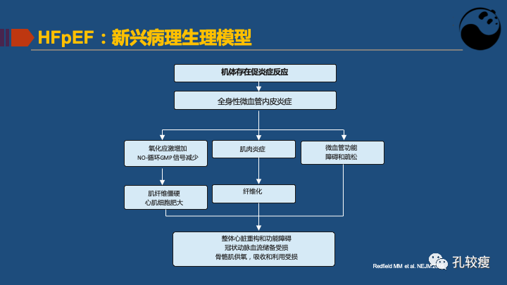 关于射血分数保留心衰的认识及困惑