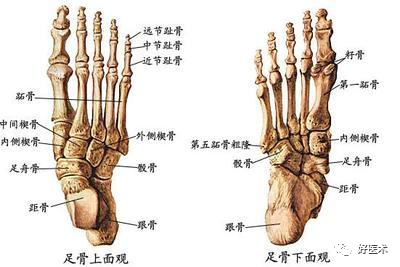 第五跖骨基底部骨折的分型和治疗，这些重点你都知道吗？