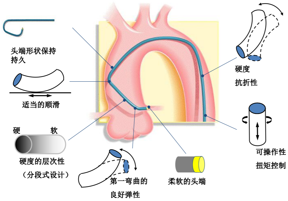 冠脉介入离不开的导管，你需要这篇文章！