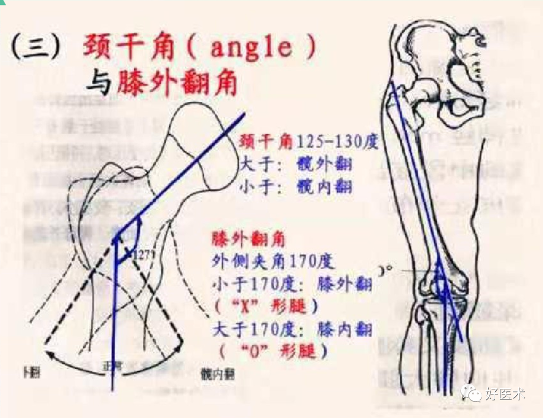 骨科必备局部解剖及手术入路，高清图文详解！