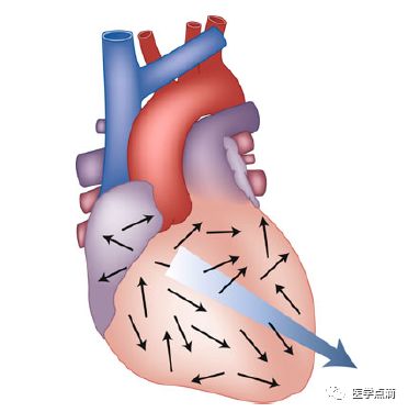 学习心电图必须掌握的基础知识，收藏起来慢慢看！