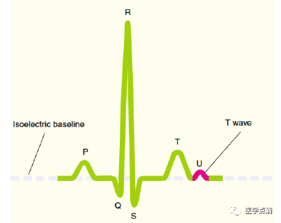学习心电图必须掌握的基础知识，收藏起来慢慢看！