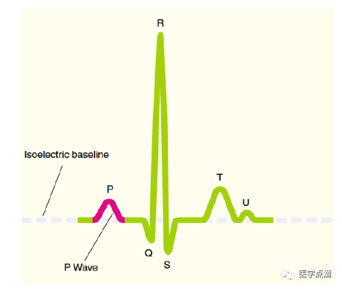 学习心电图必须掌握的基础知识，收藏起来慢慢看！